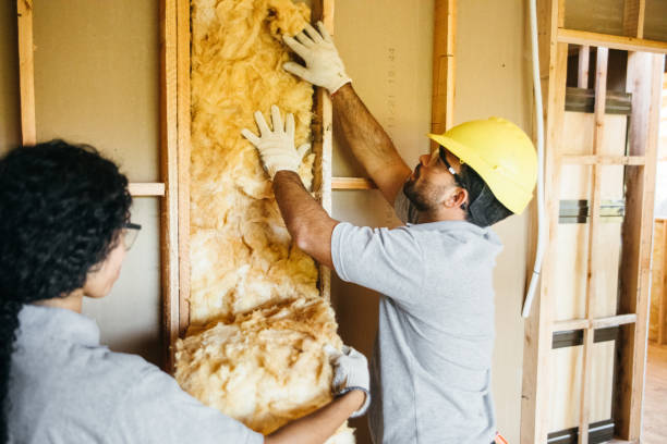 Best Blown-In Insulation  in Highlandville, MO